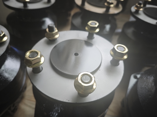 Gepersonaliseerde hydraulische zuigermotor gietijzer koppel 2950-5100 Nm